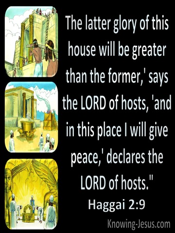 Haggai 2:9 The Glory Of The Latter Temple (black)